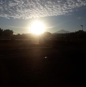 Meet your Posher, Madeline